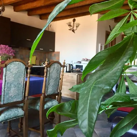 Casa Accogliente Vista 펜션 *